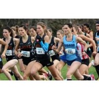 Le Championnat provincial de cross-country revient  Shawinigan