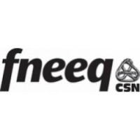 31e Congrs de la FNEEQ-CSN - Porter le flambeau !